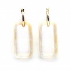 Grandes créoles en plaqué...