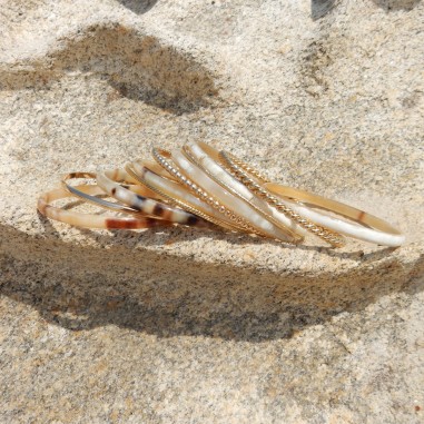 Photo mood à la plage du semainier en corne.
