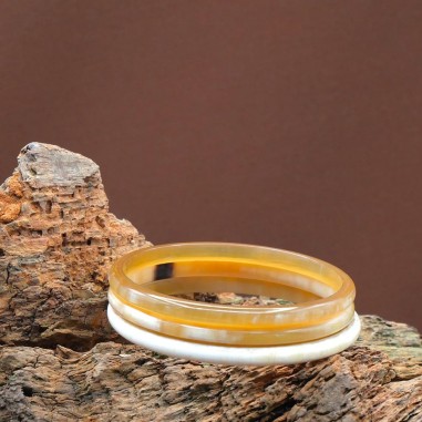 Photo mood sur une branche de bois de 3 joncs en corne claire 5 mm.