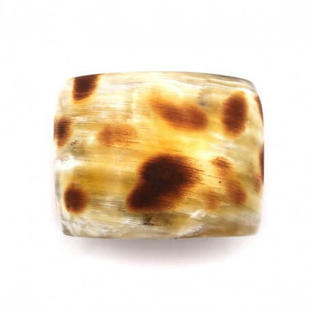 Photo sur fond blanc de la manchette large en corne vue de dessus.