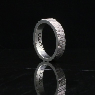 Tungst-N-L Men's Alliance