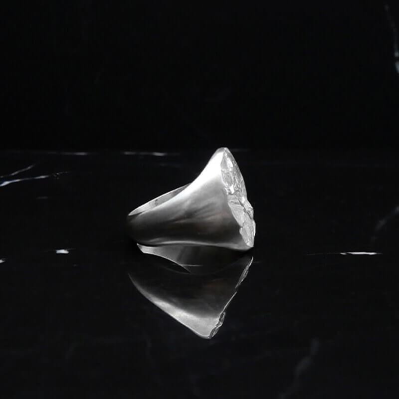 Bague chevalière A76 S