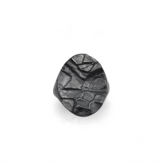 Chevalière homme A76 L 2