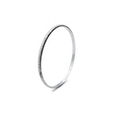 Tungst-N silver bangle